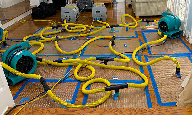 Professional Storm Water Damage Restoration technician working in Green Valley Lake, CA